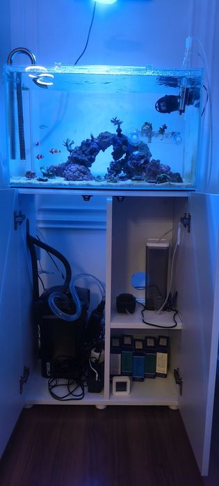 Aquário marinho/doce completo