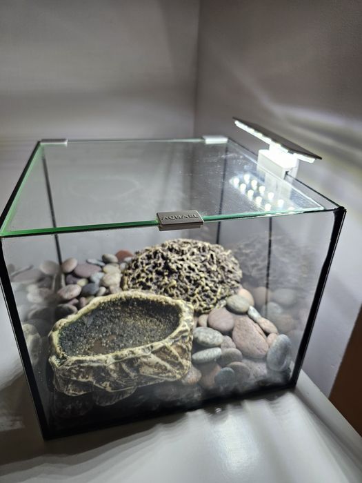 Zestaw szklane terrarium kostka marki Aquael