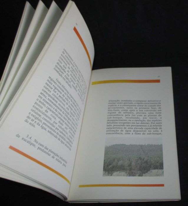 Livro O Eucalipto em Portugal José de Almeida Fernandes