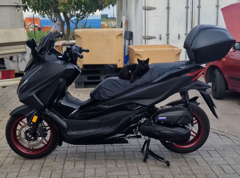 Honda forza 125 edition especial