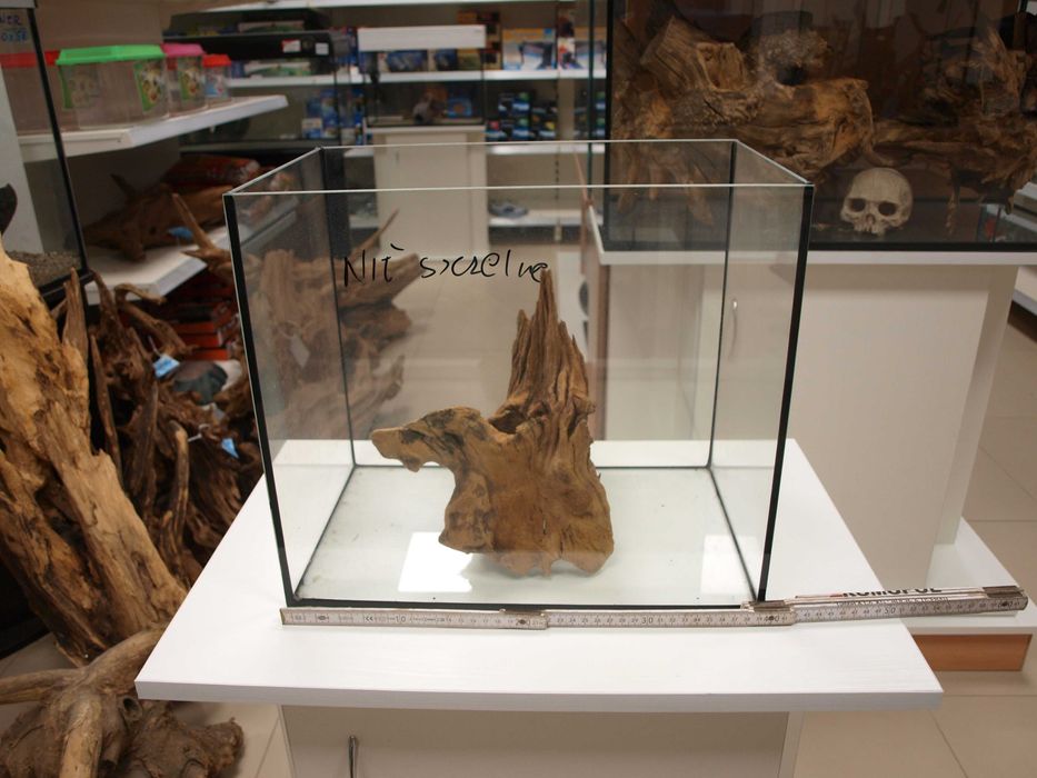 Akwarium Proste 40x25x35 dla chomika .