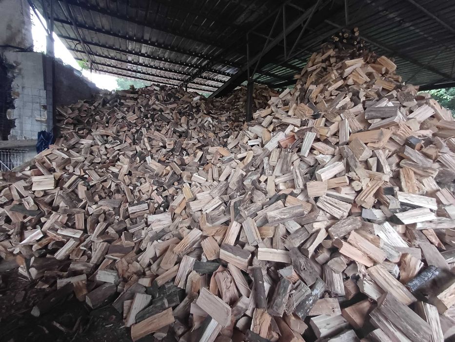 Vendo varios tipo de lenha