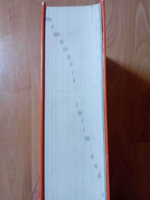 2 dicionários de Língua Portuguesa