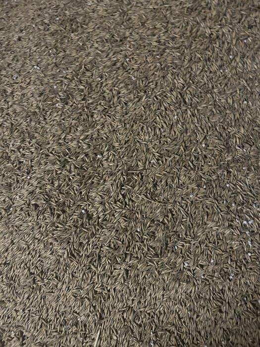 Owies jako wartość opałowa