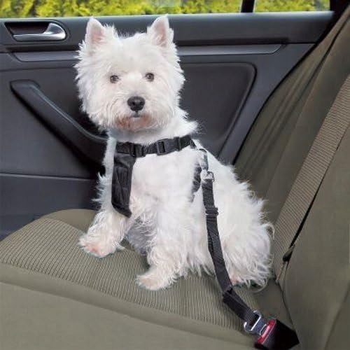 Pas bezpieczeństwa do transportu psa lub kota