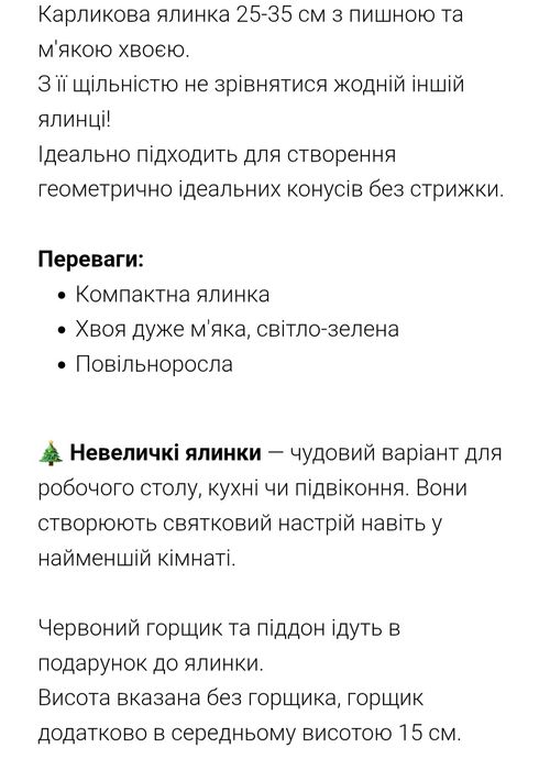 Жива Ялинка в Горщику до Різдва та Нового Року