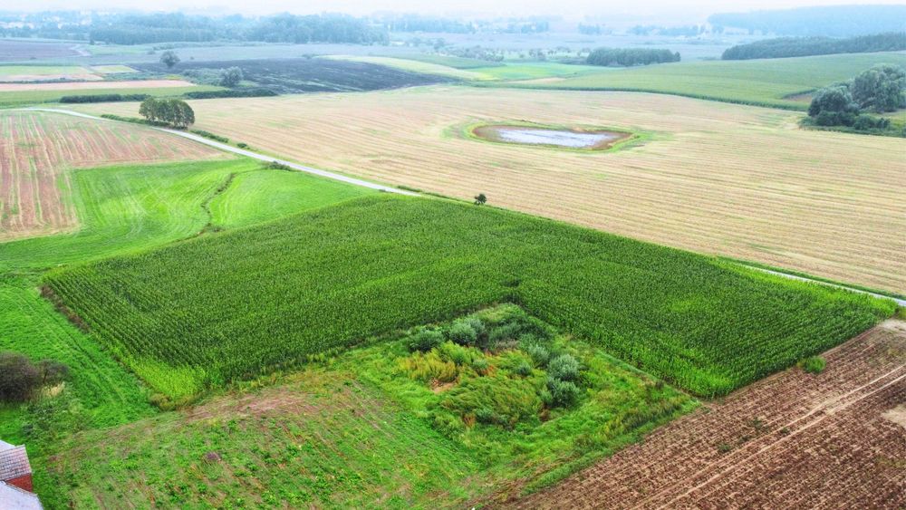 Działki budowlane z WZ - Widok 4