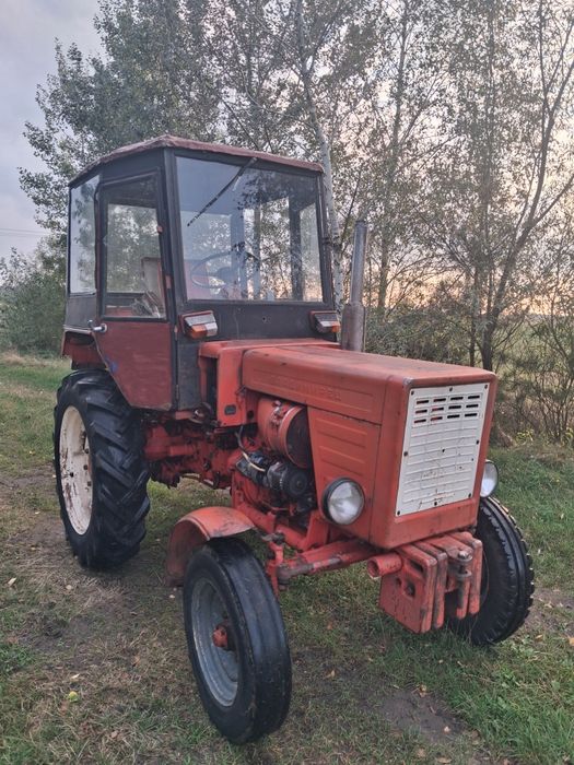Władimirec t25 Zarejestrowany