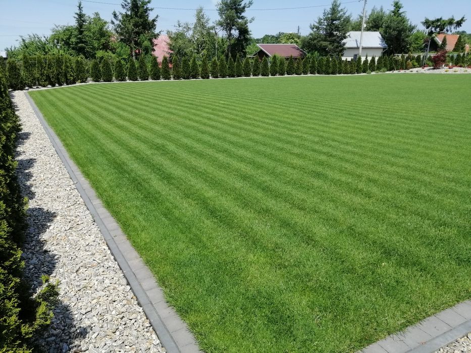 Przygotowanie Terenu pod trawnik, Glebogryzarką separacyjną