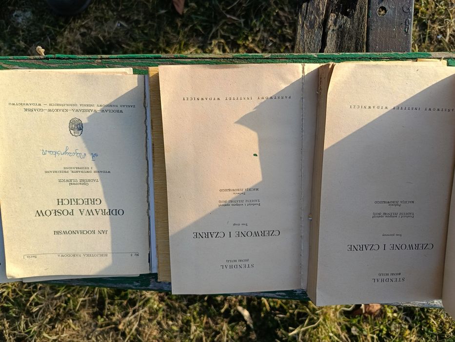 Sprzedam kilkanaście książek przeważnie w miękkich okładkach