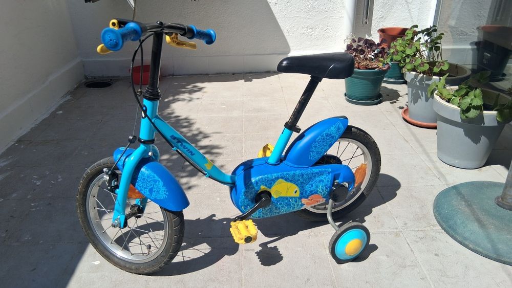 Bicicleta btwim roda 14