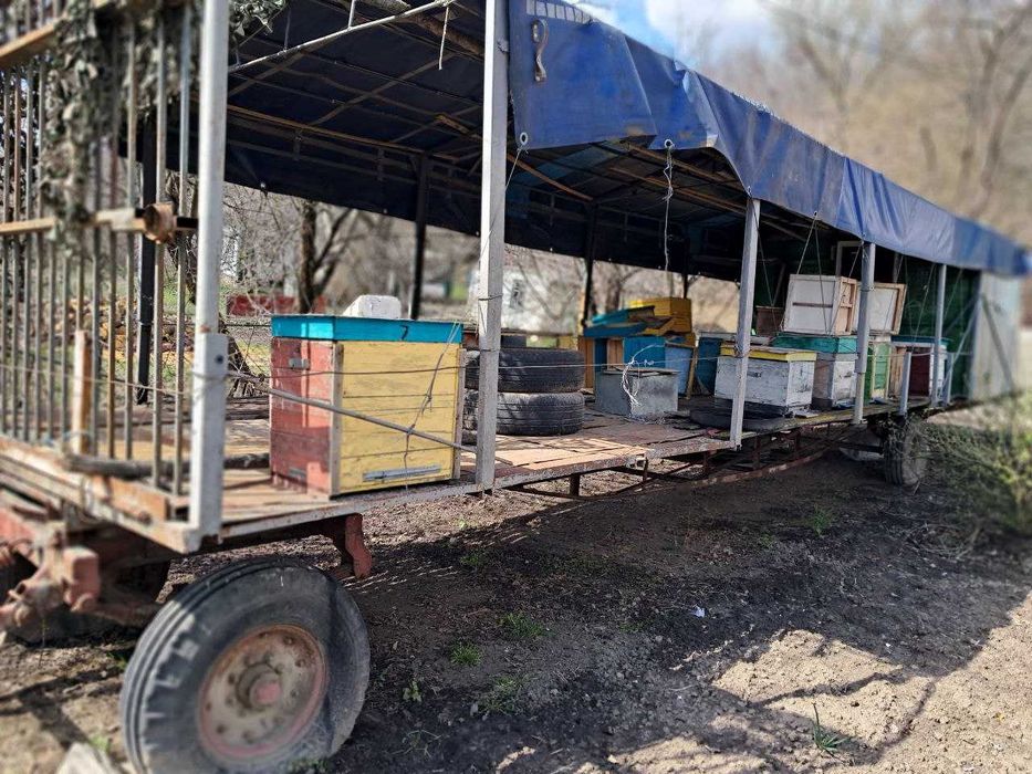 Зареєстрований з номерами Причіп ПАСІЧНИКА на 40 вуликів