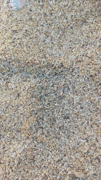 Відходи, крупка  сої