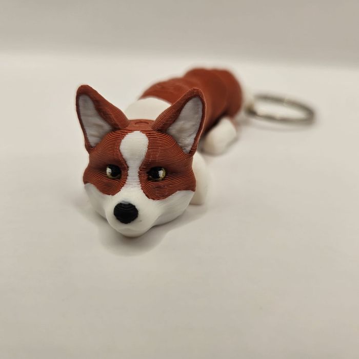 Szczeniak Pembroke Corgi