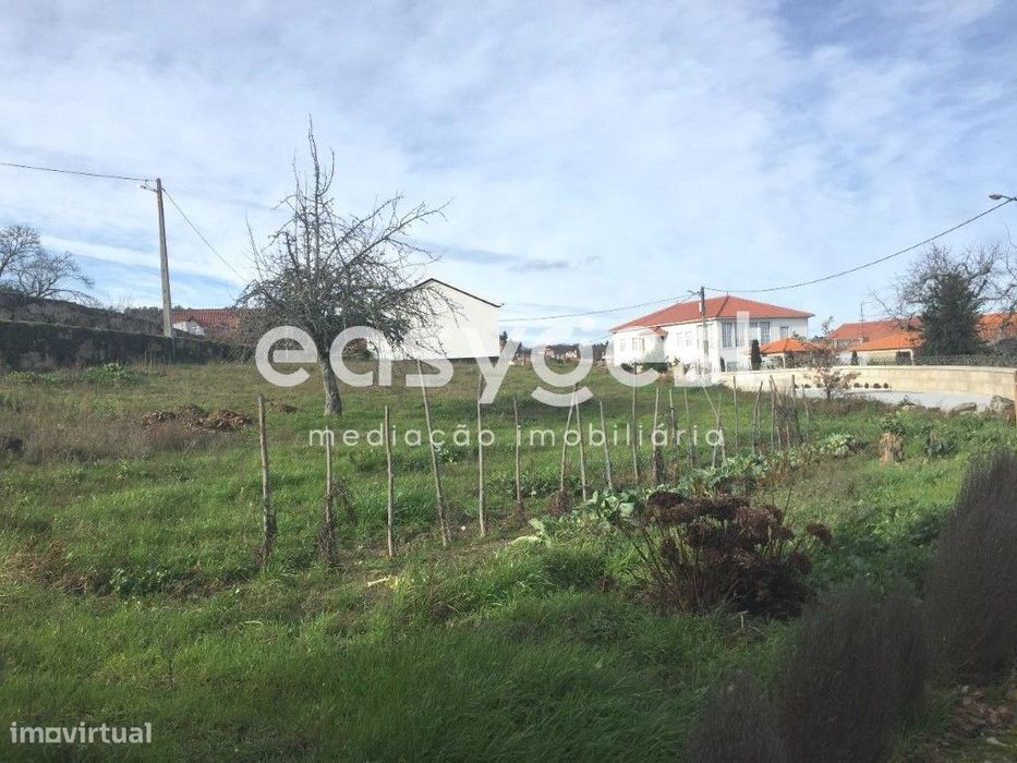 Terreno Agrícola na Torre do Terreno