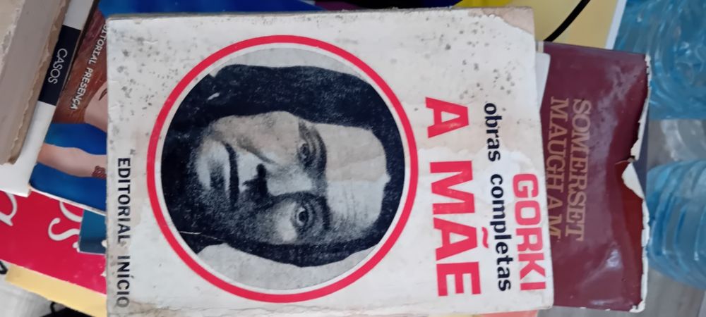 Livro a mãe de Gorki