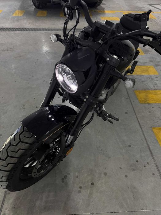 Mota chinchilla 500