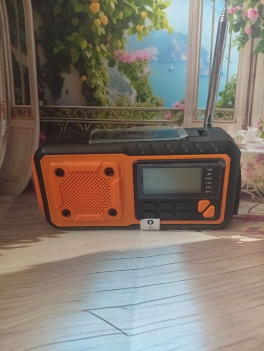 !!Цифрове радіо Soundnaster DAB112OR