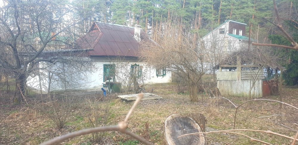 Забір'я.(Жорнівка)  будинок 62м.кв., на ділянці 15сот., майже в лісі.