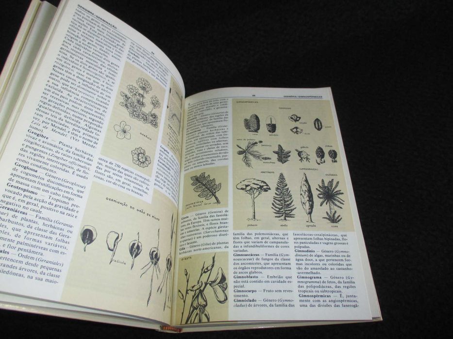 Livro Dicionário de Botânica Ilustrado