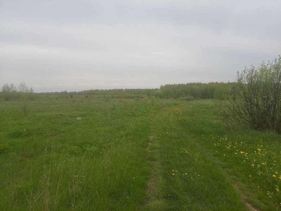 Калинівка "Калиновий Гай" 12 соток (26133791)