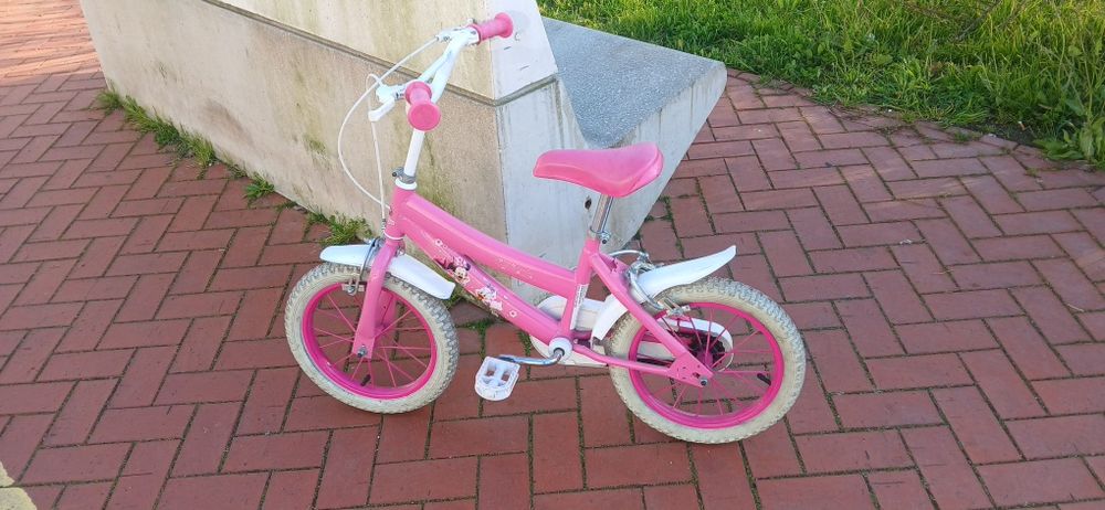 Bicicleta roda 14