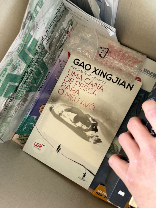 Livros variados, pequenos, infanties LER+ plano nacional de leitura