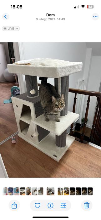 Drapak dla kota, duży,pluszowy.