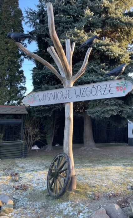 Agroturystyka wiśniowe wzgórze w Dębnie