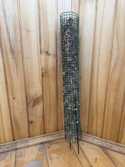 Мохова опора для кімнатних рослин