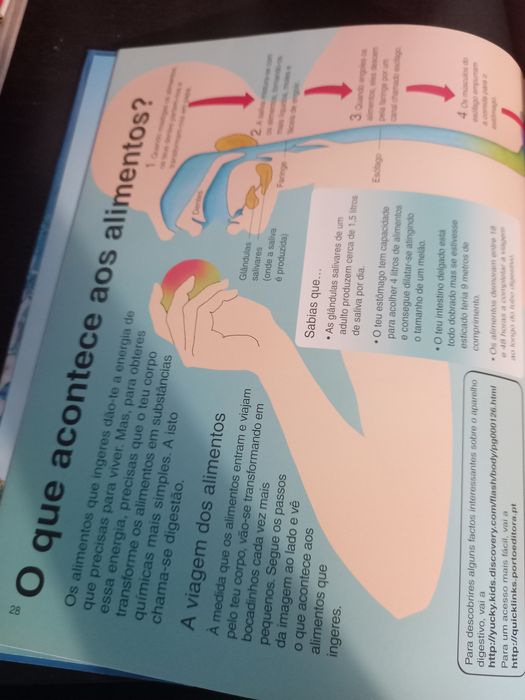 Primeira Enciclopédia da Ciência