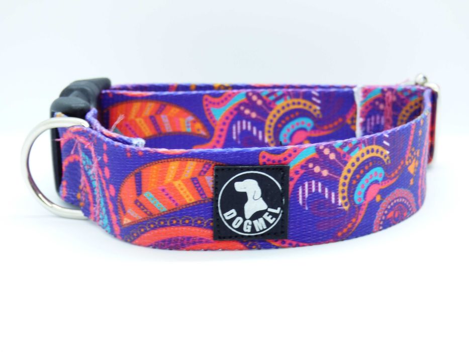 ZESTAW obroża + smycz DOGMEL 250 cm, szer. 3 cm fiolet