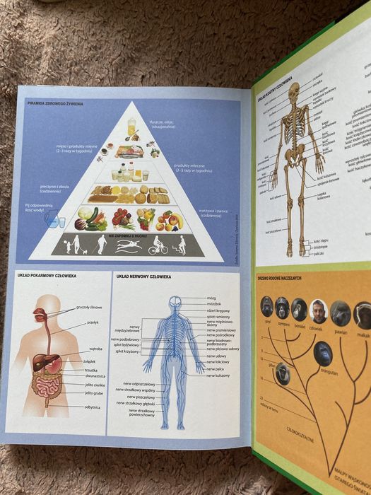 Matura biologia vademecum