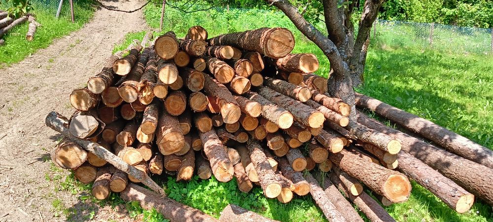 Drewno Opałowe Modrzew Sosna na metry