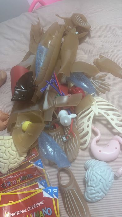 Vende se esqueleto  , da coleção nacional geographic.