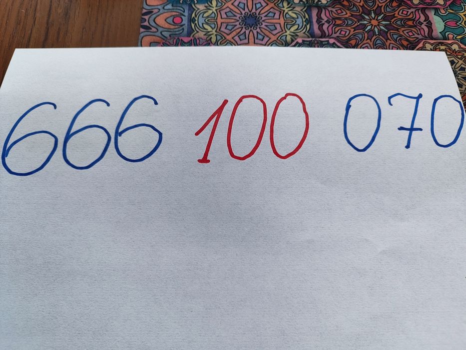 Złoty numer 666Red Bull Mobile (T-Mobile)