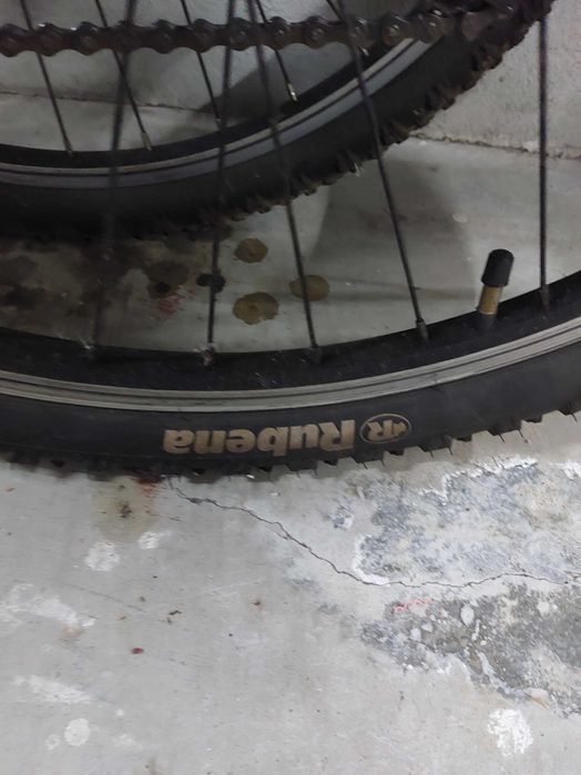 2 Bicicletas KX sporty 10