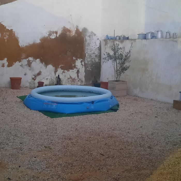 Verde & Vida – Serviços de Jardinagem