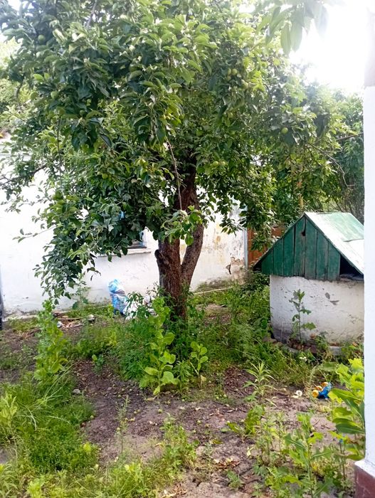 Будинок з  хоз. пристройками район ст.Коростень-Сади