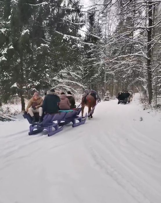 KULIGI ! OGNISKO ! zaprzeg konny !