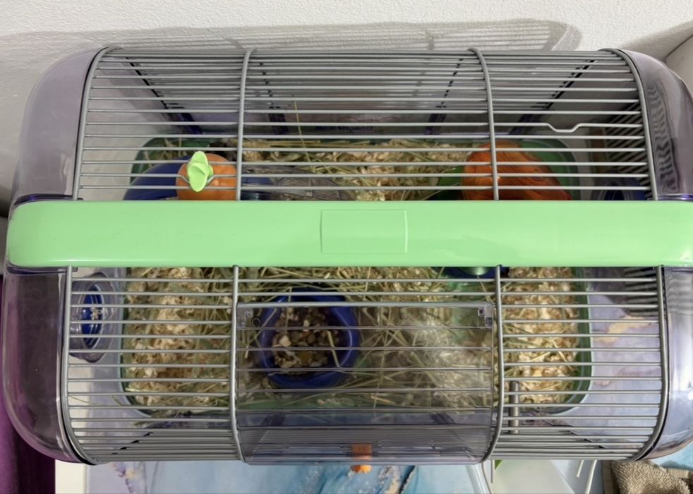 Gaiola hamster como nova