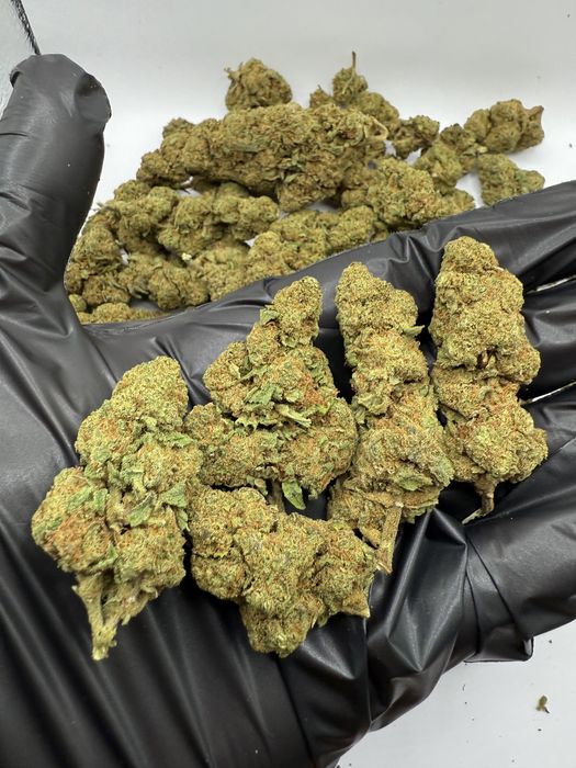 Susz CBD Sweetberry 1kg/THC<0.3%