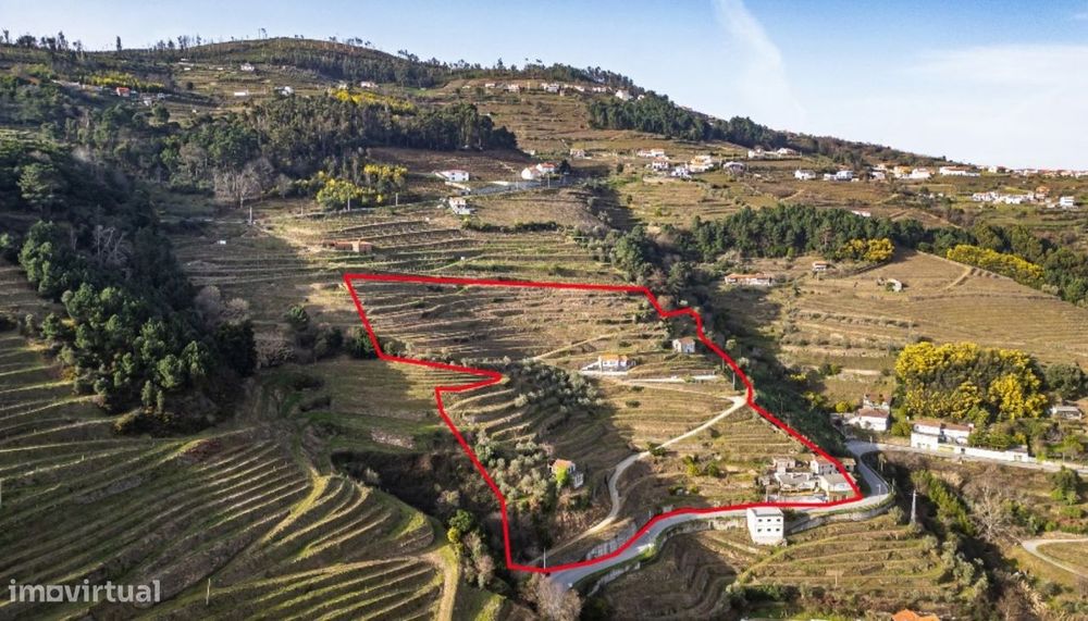 Quinta Vinicola em Vila Marim, Mesão Frio, Douro Valley