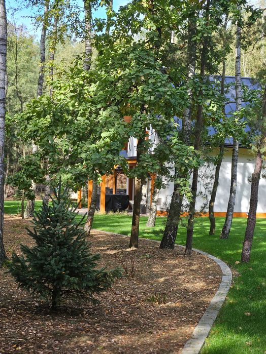 Domek w lesie do wynajęcia z jacuzzi i sauną na wyłączność. Panieński, kawalerski. Relaks, cisza, spokój, natura