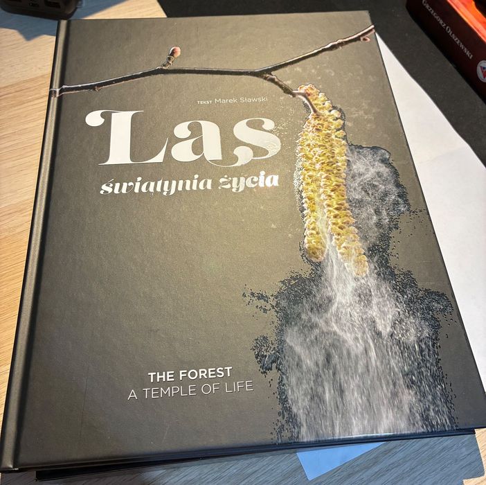 Las świątynia życia