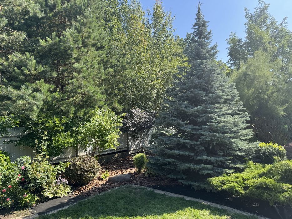 Професійний Садівник