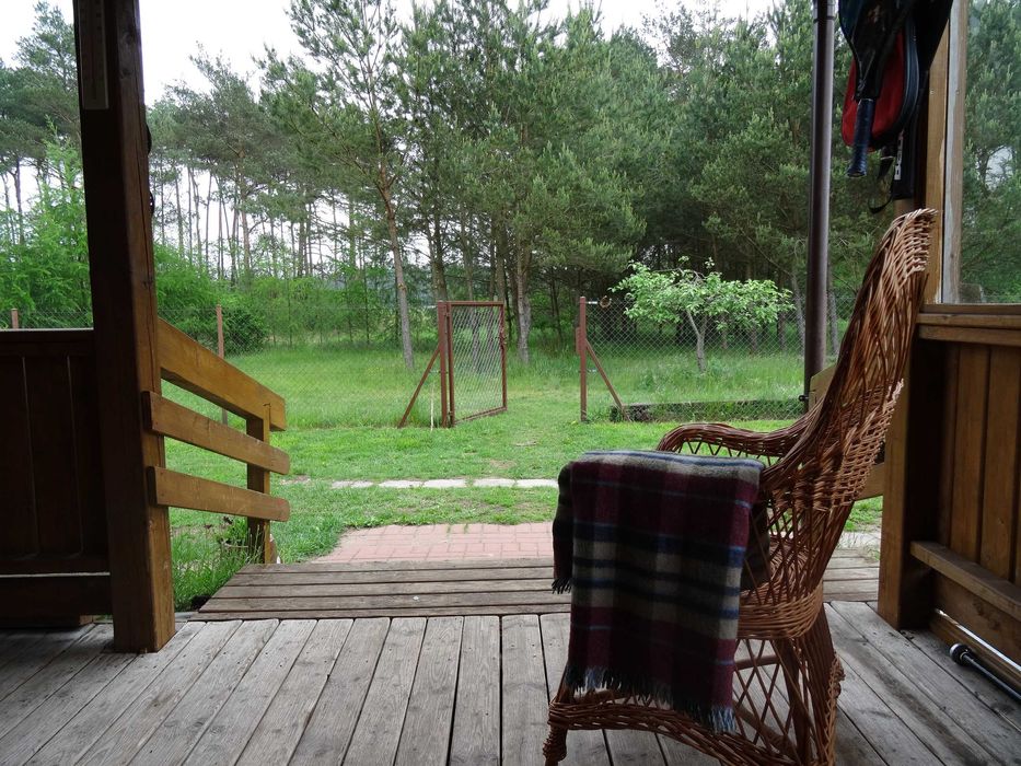 Dom pod lasem Cisza- Spokój.  AKCEPTUJEMY ZWIERZĘTA!!!