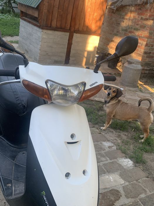Suzuki let’s 2 new