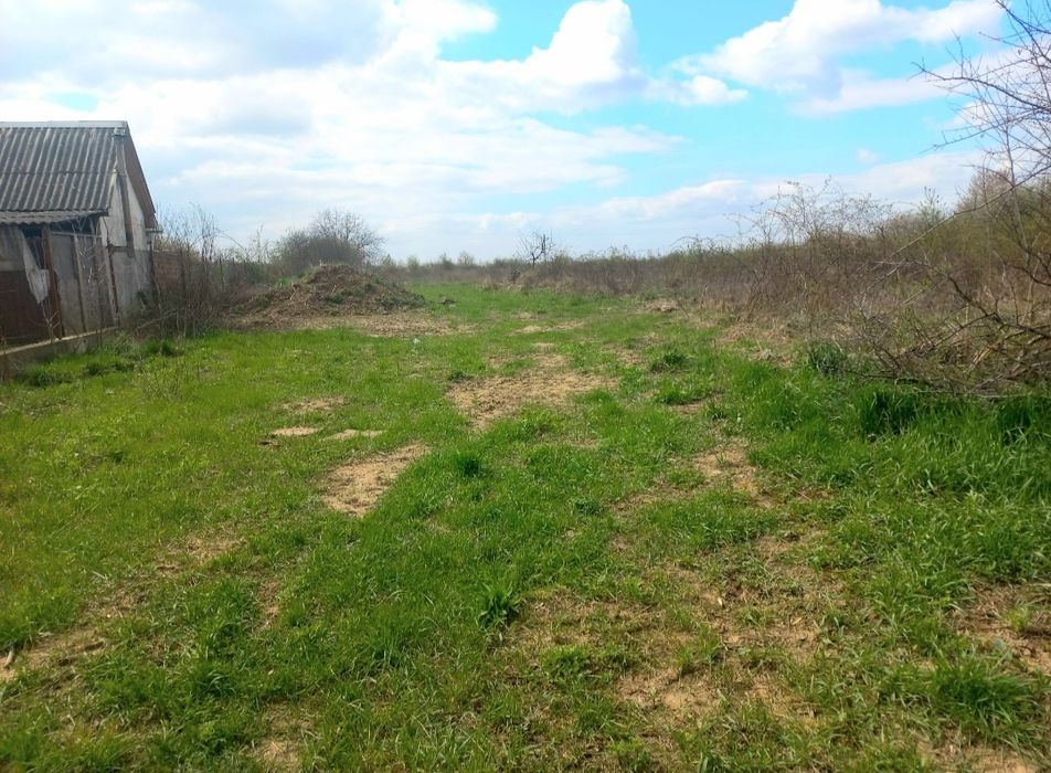 Ділянка в Коритнянах, 8 соток 6000$