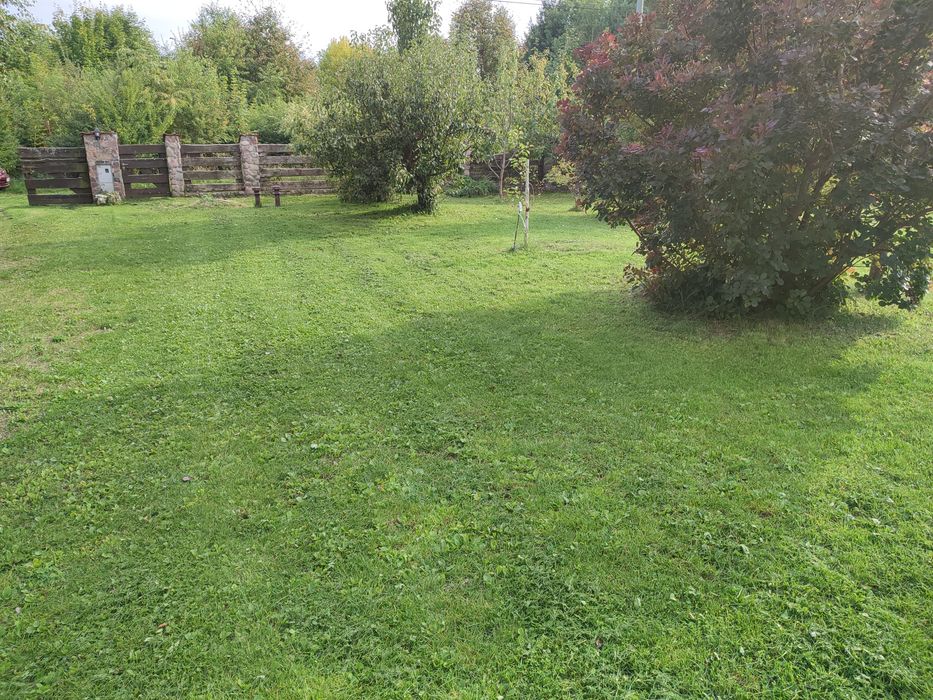 Koszenie działek i trawników